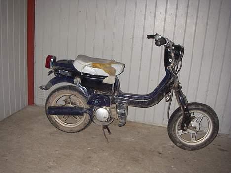 Suzuki FZ50 - son så den ud i staraten billede 1