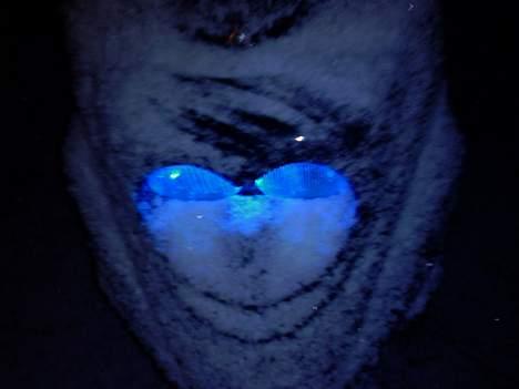 PGO Hot 50 solgt  billede 19