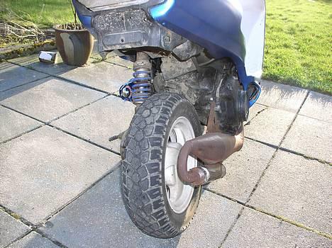 Honda SFX  billede 3