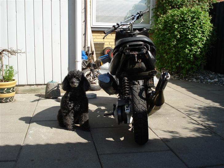 Aprilia Sonic LC Teamspeed*SOLGT* - Dræber 1 og 2 :P billede 9