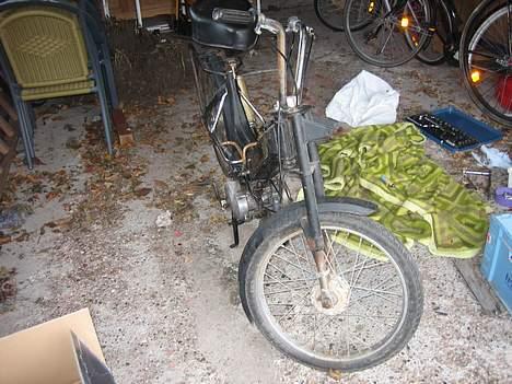 Puch maxi k. solgt billede 12