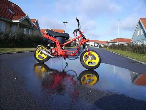 Gilera Stalker TSII billede 2