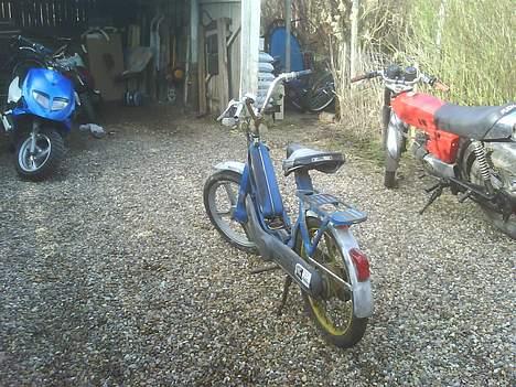 Puch Grand Prix // BYTTET // - den Ciao jeg fik med. Baggrunden står TVP´s dr big og min sonic og min GP billede 14