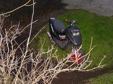 PGO hot 50 billede 3