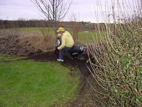 PGO hot 50 billede 5