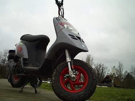 Piaggio Typhoon - Typhoon billede 1