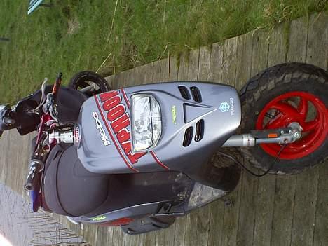 Piaggio Typhoon - Typhoon billede 2