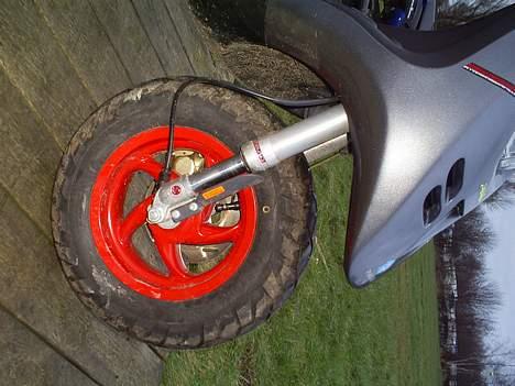 Piaggio Typhoon - Fed rød fælg billede 7