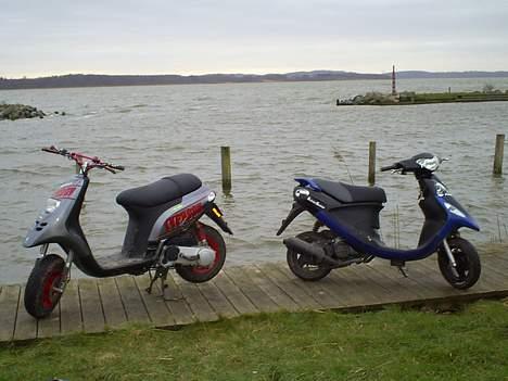 Piaggio Typhoon - Min Typhoon og min fætter´s Ligero billede 8