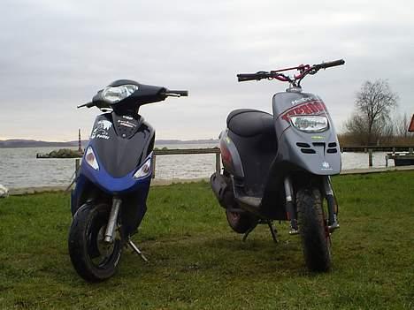 Piaggio Typhoon - Min Typhoon og min fætter´s Ligero billede 9