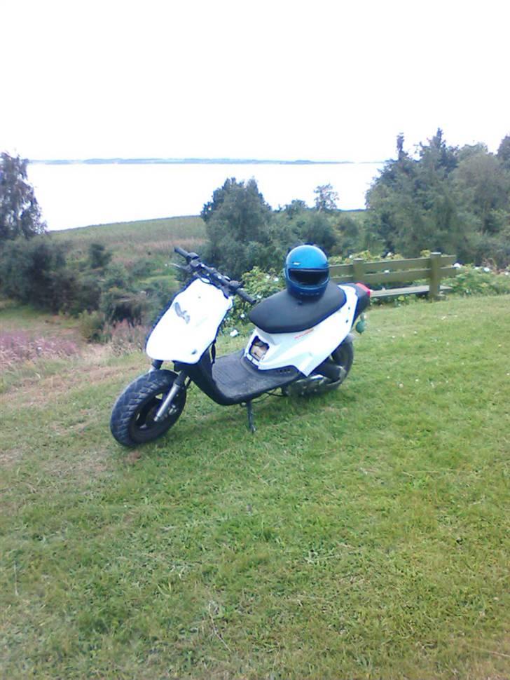 PGO Hot50 bytte til BWS billede 1