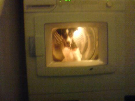 Gilera Stalker  billede 1