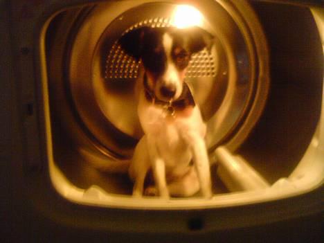 Gilera Stalker  billede 2