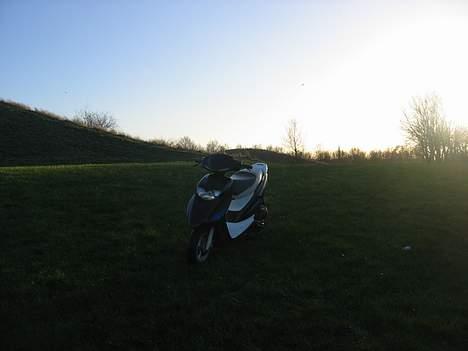 Honda SFX Hverdags brug billede 8