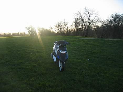 Honda SFX Hverdags brug billede 9