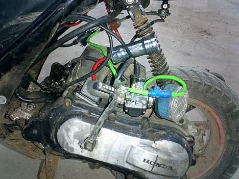 Honda SFX Vild Athena Tun! billede 4