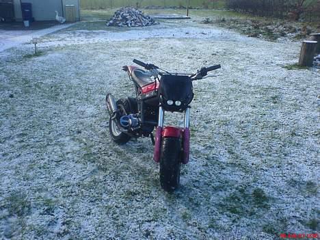 Suzuki Street magic LC DD Byttet billede 14