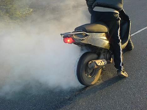 PGO hot 50 **byttet** billede 9