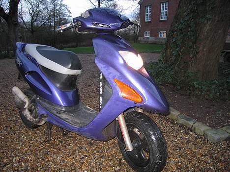 Honda SFX (BYTTET) - Beskidt men fed! ---- Dato: 06/02 07 - Fotograf: Dorte Paulsen billede 6