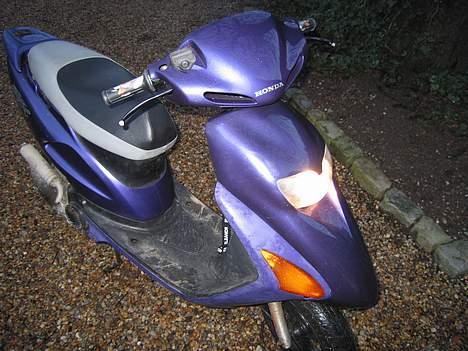 Honda SFX (BYTTET) - Beskidt men fed ;) ---- Dato: 06/02 07 - Fotograf: Dorte Paulsen billede 7