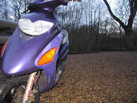 Honda SFX (BYTTET) - Profil billede! (revne ARRH) ny frontkåbe bestillt - Fotograf: Dorte Paulsen billede 8