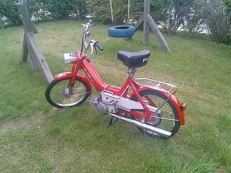 Puch Maxi P billede 1