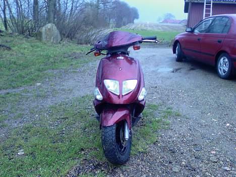 PGO DR. Big  billede 1