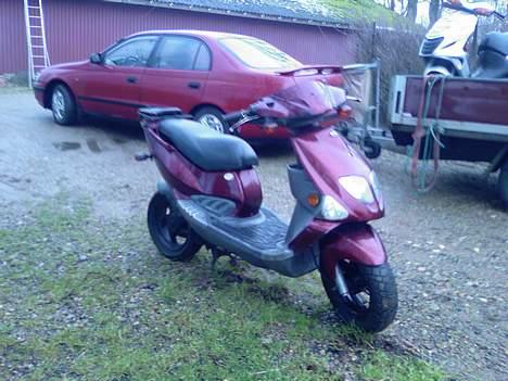 PGO DR. Big  billede 2