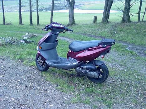 PGO DR. Big  billede 4