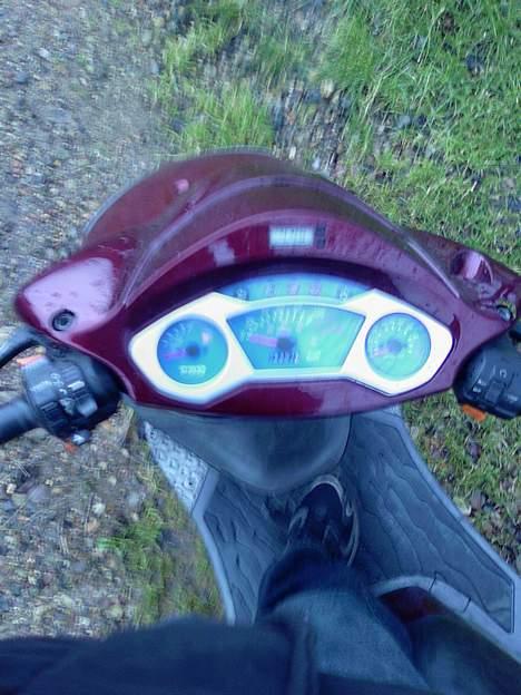 PGO DR. Big  billede 5