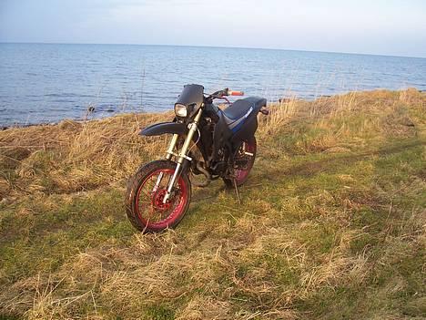 Suzuki smx. (solgt.) billede 4