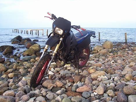 Suzuki smx. (solgt.) billede 6