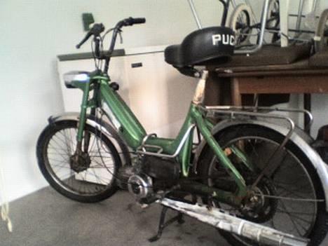 Puch Maxi K ( Byt t benelli! ) - min Maxii . billede 2