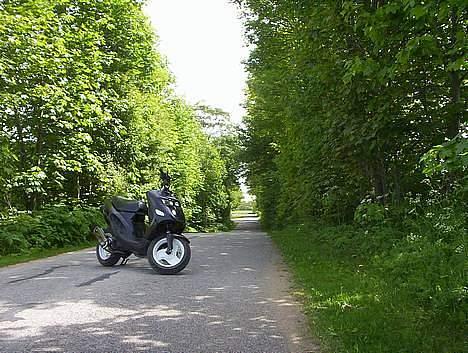 Kreidler Lc easy rider<>(projekt) billede 2