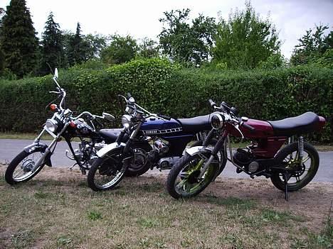 Regal Raptor Solgt - Fra højre: Min Minza, Agners Yamaha, min Regal Raptor :) billede 13