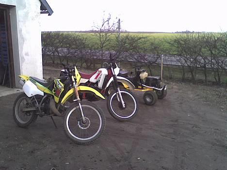 Suzuki Rmx - alle tre på stribe.. billede 1