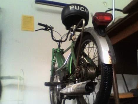 Puch Maxi K ( Byt t benelli! ) - Cool billede ! sys jeg ;) billede 10