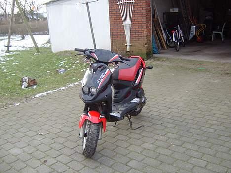 PGO PMX sport  billede 2