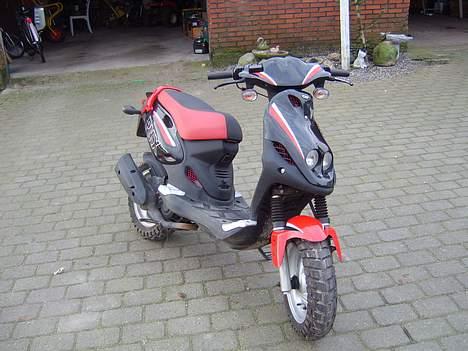 PGO PMX sport  billede 11