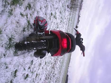 Gilera stalker (solgt) billede 5