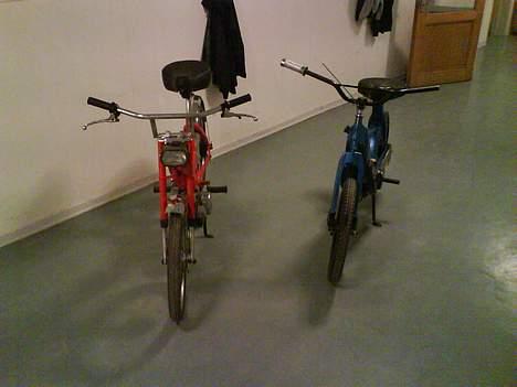 Puch maxi k (solgt) - min puch og mikkel h´s tidligere ciao billede 9