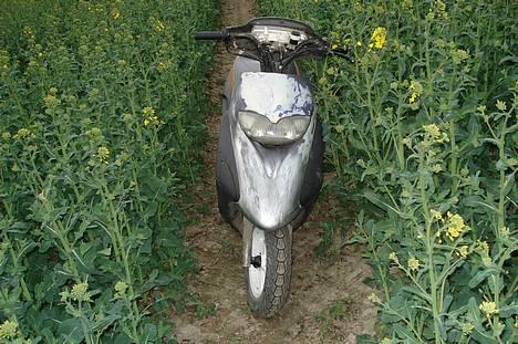 Honda sfx sport  - Min fine honda ja sådan ser den ud pt billede 1