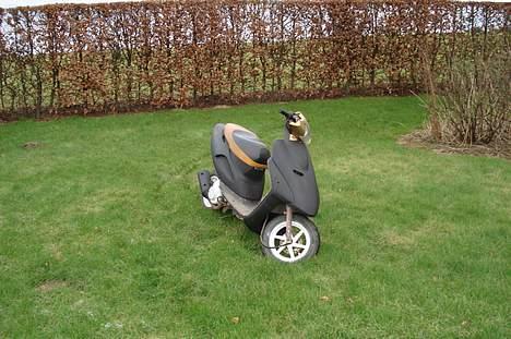 Honda sfx sport  billede 2