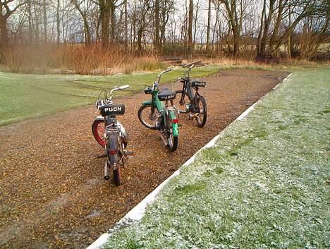 Puch Maxi K  o0 SOLGT 0o - I indkørelsen billede 5