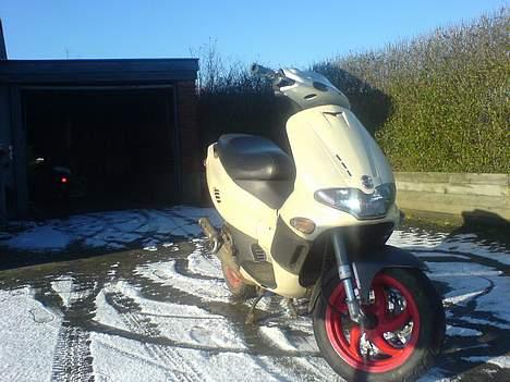 Gilera Runner AC DD billede 2