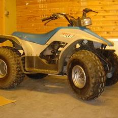 Yamaha Breeze 125 ccm