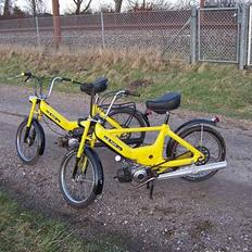 Puch            MaXi (Solgt.!)