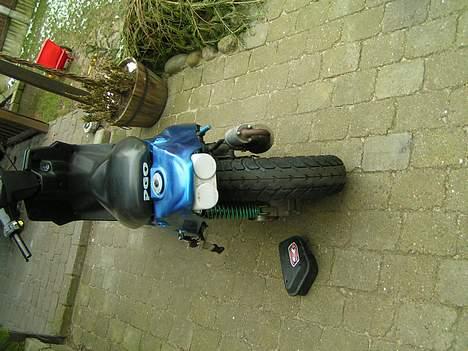 PGO hot byttet til puch billede 6