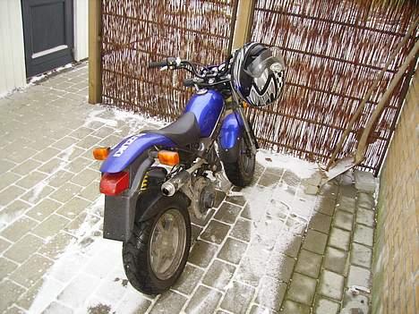 Suzuki Street magic byttet billede 6