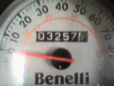 Benelli 491 GT (SOLGT) billede 5